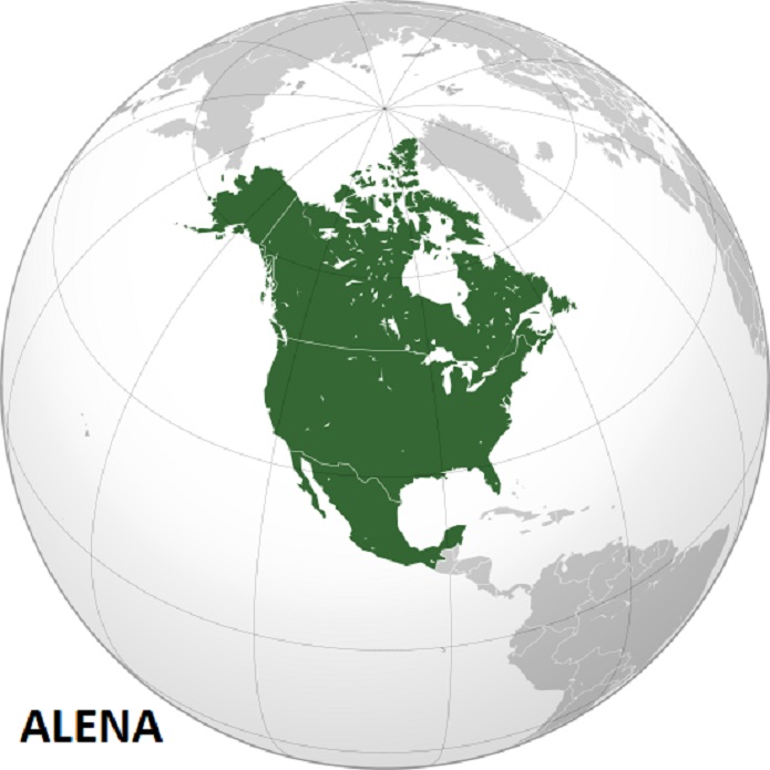 Alena